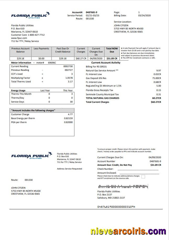 USA Florida Public Utilities utility bill
